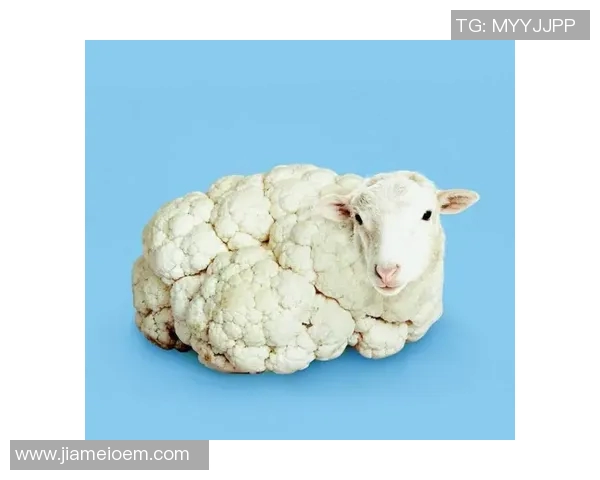 搞笑足球明星拍广告引发热议 笑点十足超乎想象的创意呈现 搞笑足球明星拍广告引发热议 笑点十足超乎想象的创意呈现