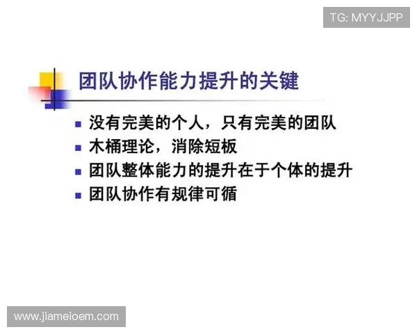 上海羽毛球队团队协作表现的数据分析与提升策略探讨