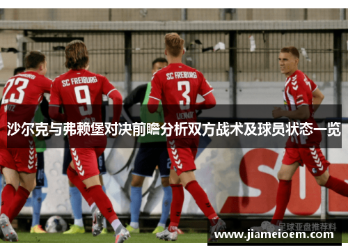 沙尔克与弗赖堡对决前瞻分析双方战术及球员状态一览